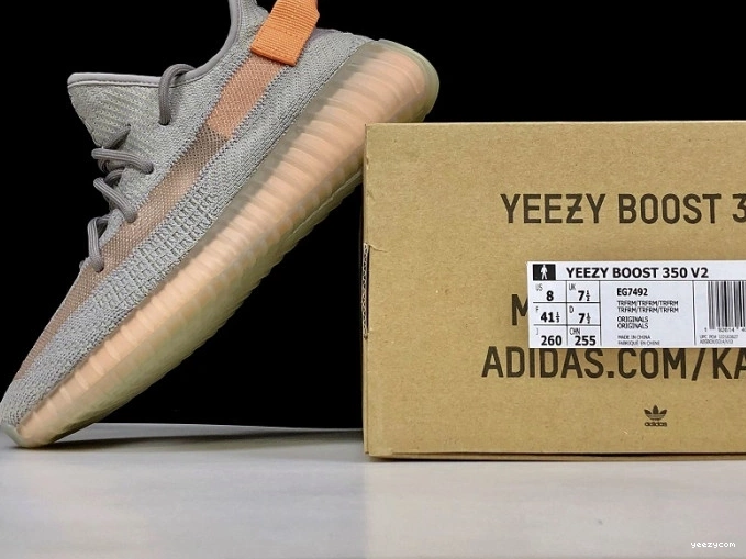Form EG7492 Yeezy True V2 Boost 350 Adidas 1004